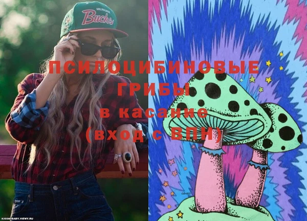 бошки Лагань