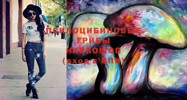 бошки Лагань