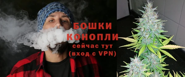бошки Лагань