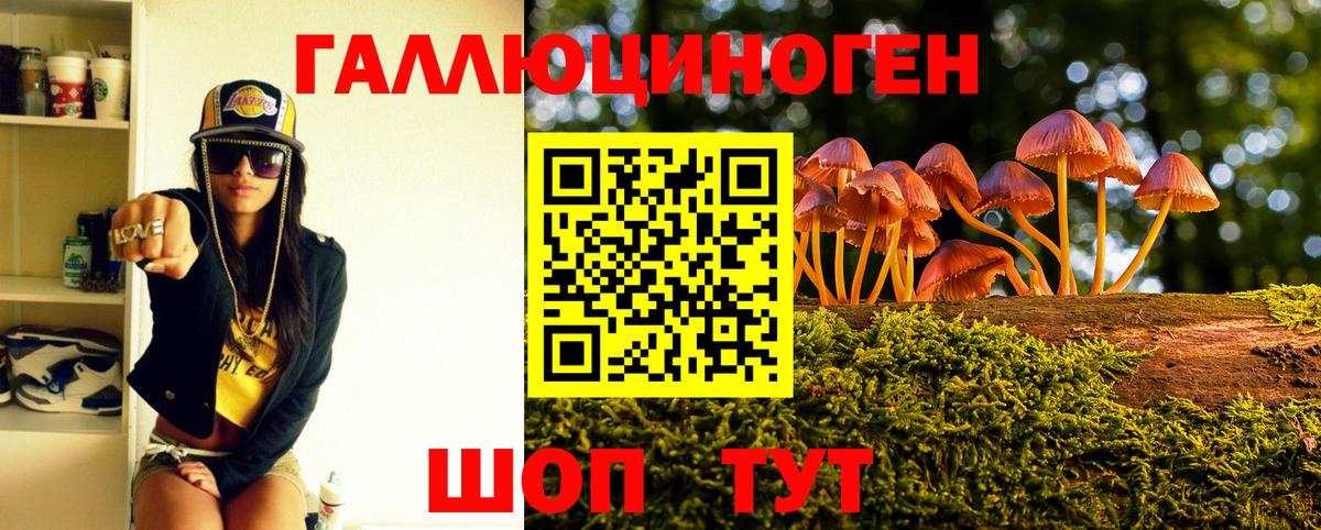 Псилоцибиновые грибы мицелий Нарткала